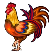 Rooster symbol icon