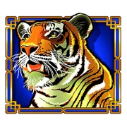 Tiger symbol icon